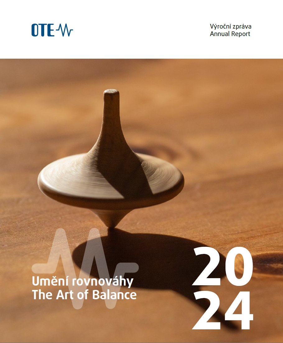 annual report 22024 image